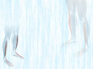 Extensor Digitorum Longus Muscle Title Content PowerPoint Template