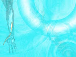 Extensor Pollicis Longus Muscle Title Content PowerPoint Template