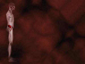 Iliacus Muscle Title Content PowerPoint Template