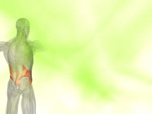 Internal Oblique Muscle Title Content PowerPoint Template