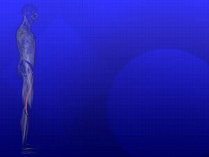 Sartorius Muscle Title Content PowerPoint Template