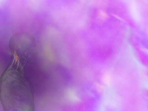 Semispinalis Cervicis Muscle Title Content PowerPoint Template